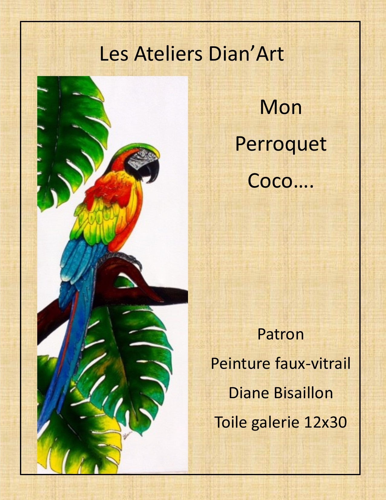 Coco...Le Perroquet