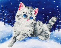 Thumbnail for Kitten in the Snow