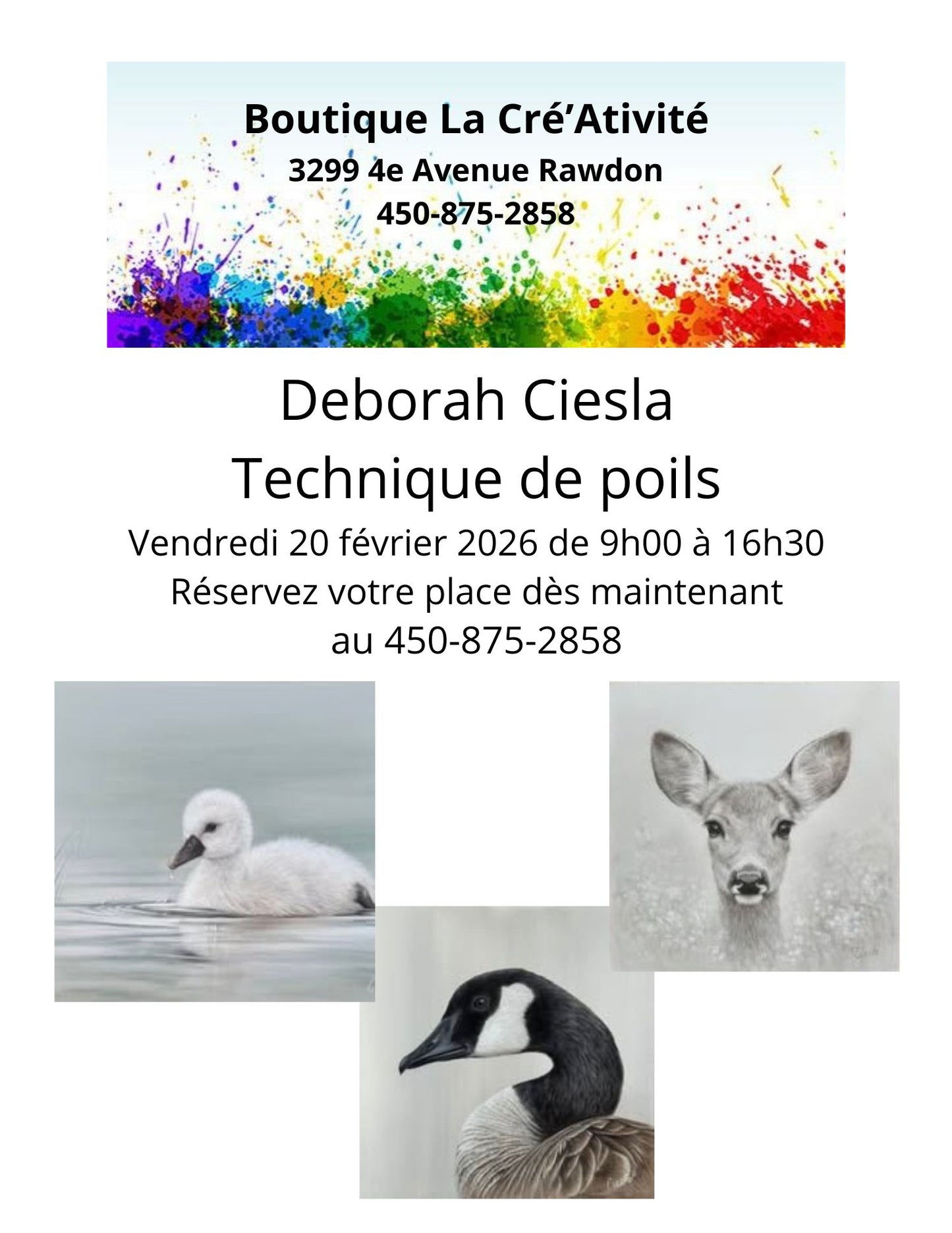 2 - Rawdon - Technique de poils - Vendredi 20 février 2026