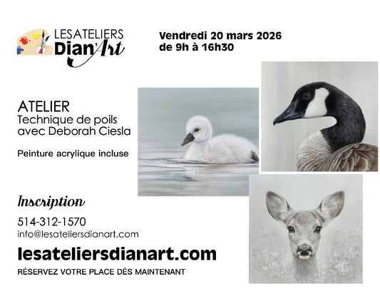 1 - Repentigny - Technique de poils - Vendredi 20 mars 2026