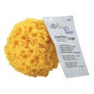 Thumbnail for Synthetic Sea Sponge