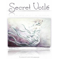 Thumbnail for Secret voilé