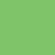 SetaColor Opaque 24 - Vert printemps 45ml