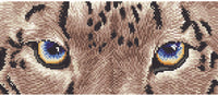 Thumbnail for Snow Leopard Spy